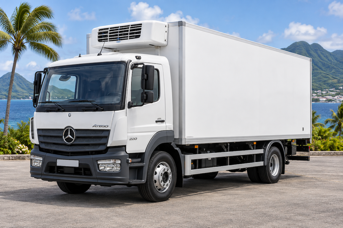 Mercedes-Benz Atego 220 — Frigorifique 12 palettes